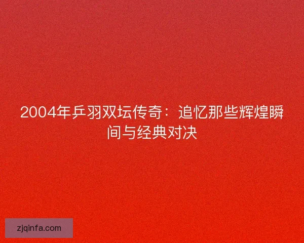 2004年乒羽双坛传奇：追忆那些辉煌瞬间与经典对决